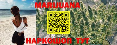 скорость Бийск