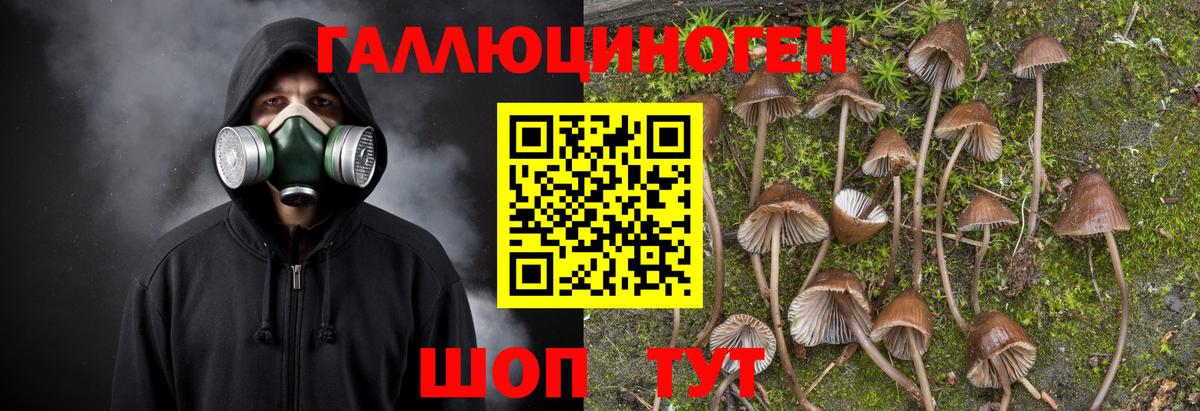 Белгород  наркошоп  Вход с VPN  Галлюциногенные грибы мицелий 