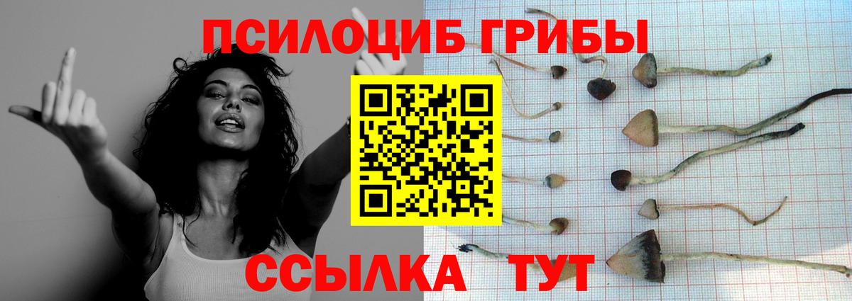 Галлюциногенные грибы Cubensis Белгород